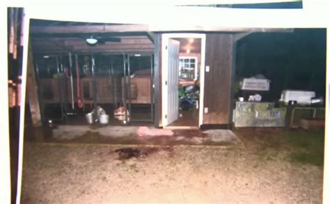 leaked murdaugh crime scene photos|Alex Murdaugh trial shown crime scene photos of bloody dog